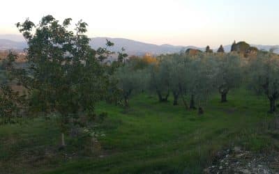 Adoption: le témoignage d’une Française établie à Sienne