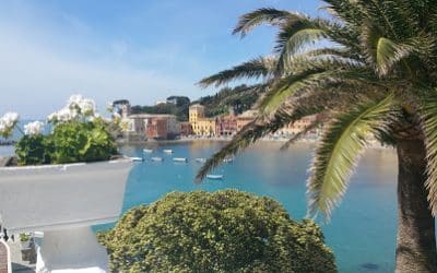 Préparer sa retraite : Réponses à vos questions