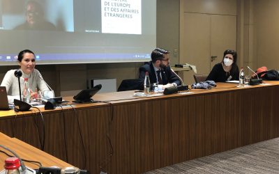 Assemblée des Français de l’Etranger : Groupe Ecologie et Solidarité