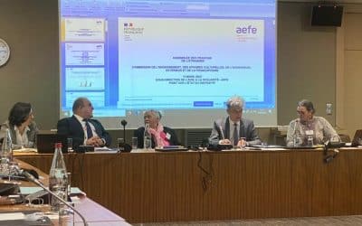 Audition de Monsieur Laurent SISTI, Sous-Directeur de l’Aide à la Scolarité de l’AEFE 36ème Session AFE