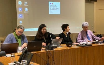 Audition de Madame Eva Nguyen Binh, Présidente de l’Institut Français-36ème Session AFE